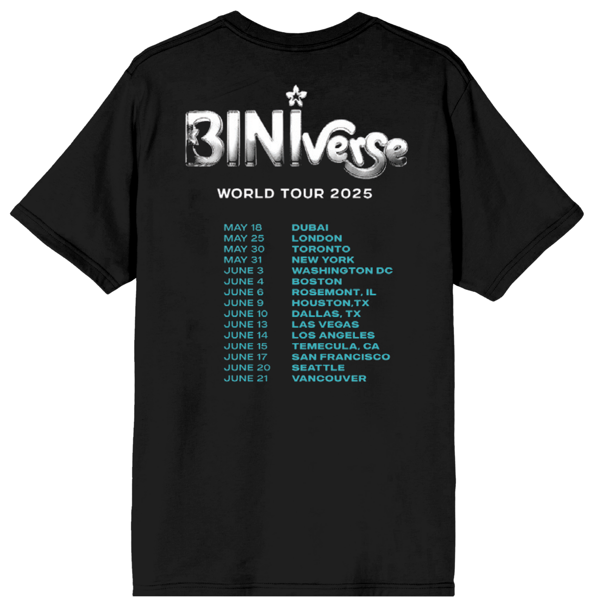 Official Bini Store - Group Photo 2025 Itin Tee – BINI